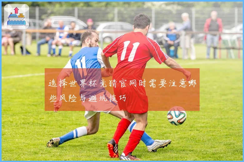 选择世界杯竞猜官网时需要注意哪些风险与避坑技巧
