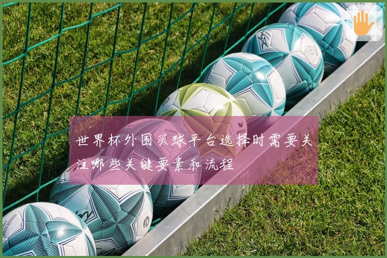 世界杯外围买球平台选择时需要关注哪些关键要素和流程