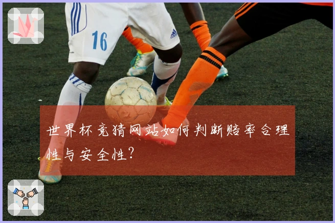 世界杯竞猜网站如何判断赔率合理性与安全性?
